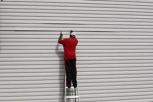 Best Insulated Siding Installation  in Belton, SC